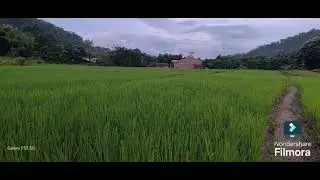  #viral song# Abeh chale? ||anal funny || video song