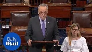 Schumer urges Republicans to work with Democrats on healthcare - Daily Mail