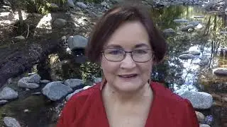 Jackie French on The Fire Wombat