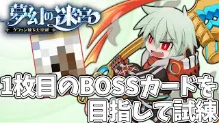 【ラグナロクオンライン】もっと金策が必要だから試練周回【RO】