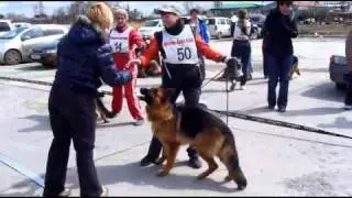 РИНГ сравнение NN 14 50.avi