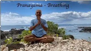 Pranayama - Breathing : 4 to 8 Breath, Square Breath & Humming Bee Breath.