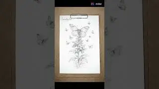 beautiful plant drawing with butterflies #drawing #plant #butterflies #sketch #unique #art #shorts