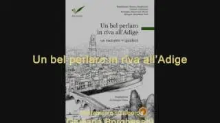 Presentazione del romanzo Un bel perlaro in riva all'Adige