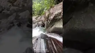 Honeymoon excursions in El Yunque Rainforest