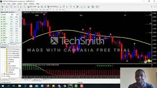 Is Tradera a Scam? Watch This NOW!!