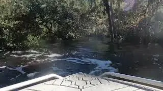 Crazy mini jet boat gets lost in the weeds of Florida.