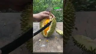 Durian Super Tembaga !! Gurih gurih nyoii