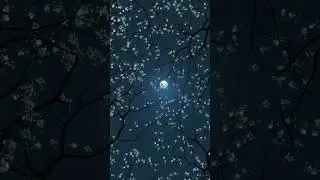 beautiful full moon night video status #moon #night #statusvideo #short #shorts #youtube #beautiful
