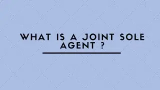 WHAT IS A JOINT SOLE AGENT ?