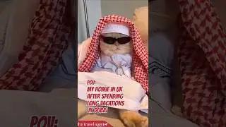 Travel mems dubai