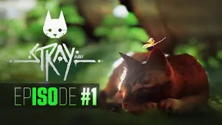 Stray: A Journey Through the Forgotten City - EPISODE #1 [HINDI]