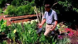 Summer Bulb Garden