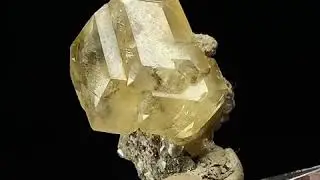 (2.9 cm) Amazing Specimen!! Calcite with incl. Bitumen - North Vernon, Indiana