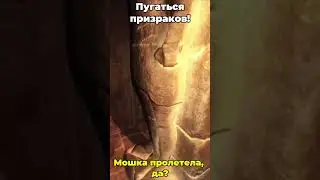 Что делать в Forewarned? Часть 3.