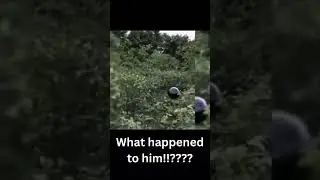Alien sphere chases man! Real ufo evidence! #shorts