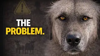 The Problem With Dogs That &ldquo;Look Busy&rdquo;