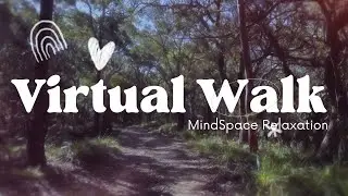 Virtual Walk Through Bush Track in NSW, Australia / Nature Walk with Music / Music to Relax Too