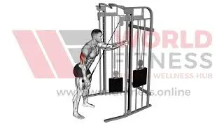 Cable Single Arm Triceps Pushdown rope attachm Demo
