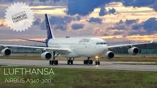 FRANKFURT AIRPORT Plane Spotting September 2019 - Qatar A380, LH Retro, Thai A350 etc.
