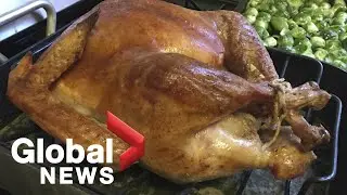 How to avoid a political showdown at the dinner table