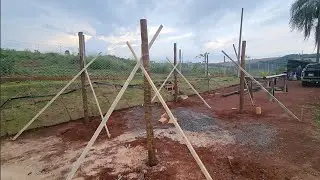 Dando início ao Pergolato