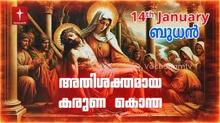 കരുണ കൊന്ത Day 14 | 14th January 2026 | Divine Mercy Chaplet Powerful Healing Prayer | #karunakontha
