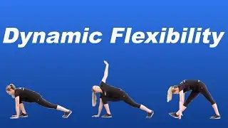 Dynamic Stretching in YOUR Warm-Up - Fitness Decoded Highlights