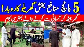 پانچ منافع بخش گھریلو کاروبار آسان اور تھوڑی انویسٹمنٹ ۔