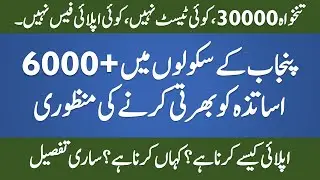 Punjab Educators Jobs 2021 | Latest Jobs in Pakistan | STI Jobs 2021