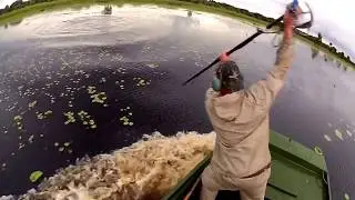 Swamp Patrol Gator Hunt