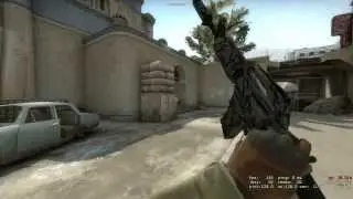 CS:GO - tsar ace leetway