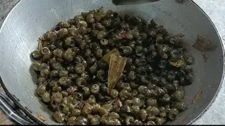 Snail Fry Recipe | Snail Recipe | How To Make Snail Recipe | Freshwater Snail Cooking 