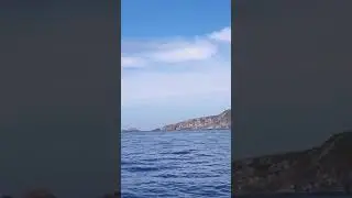Gannets diving into the Atlantic ocean