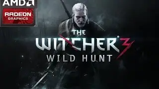 AMD Radeon R5 M230 Witcher 3 Performance