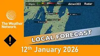The Weather Network Local Forecast - 11 January 2026