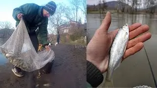 Pecanje belke na plovak,  MUTNA VODA I DOBRO DRUŠTVO