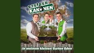 Kanonenpower