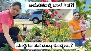 ಅಮೆರಿಕದ ನಮ್ಮ ಮನೆ Garden Tour |ಈ ವರ್ಷ ಎನೆನ್ ಹೂವಿನ ಗಿಡಗಳನ್ನ ಹಾಕಿದಿನಿ |Gardening vlog| #kannadavlogsusa
