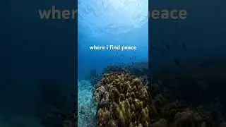 Submerged in a world of blue and vibrant coral 🪸This is where I find my peace 💙#scubadiving #gopro