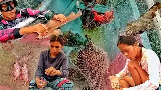 PANANAAN SA MADALING ARAW || SARI - SARING ISDA ANG AMING NA HULI CATCH &SELL#netfishing #islandlife