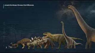 Dinosaur Scale Comparison Presentation Template - with Morph Transition