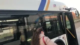 Bee-Line Bus New Flyer XDE60 Route 21 To Bedford Park Limited Stop #316 Yonkers Raceway Hybrid