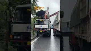 L&Ocirc; i500 v&agrave; i600 H&Agrave;NG D&Agrave;I TỪ 6m60 đến 9m[ si&ecirc;u ngon + si&ecirc;u bổ + si&ecirc;u rẻ Hotline/zalo: 0926665888
