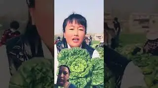 rare fruits in Asia #agriculture #agrifuture #youtubeshorts