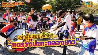 แห่กฐินแบบเดือดๆ แตรวง VS กลองยาว || ซีรีส์แตรวง Ep.278