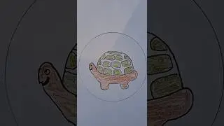 turtle 🐢 draw #drawing #shorts