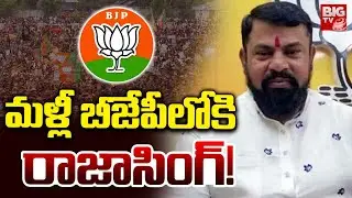బీజేపీలోకి రాజాసింగ్! | MLA Raja Singh Plans to Re Join In BJP! | PM Modi | Kishan Reddy | BIG TV