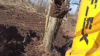 16.01.26 ELEX 81A завалил акацию большую...