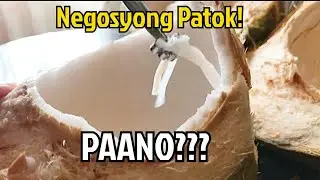 GAWIN ITO SA BUKO AT PINIPIG | PATOK INEGOSYO KIKITA KA NG TODO SA MALIIT NA PUHUNAN LANG